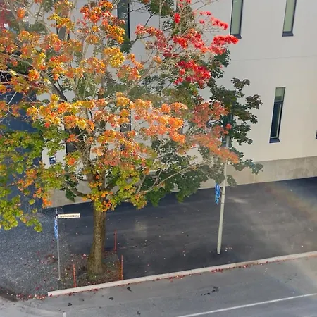 Central Studio Apartment 公寓 *