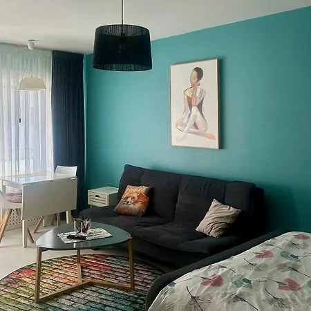 Central Studio Apartment Апартаменты