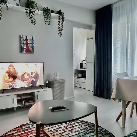 公寓 Central Studio Apartment