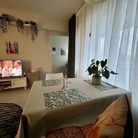 Central Studio Apartment Huoneisto Pori