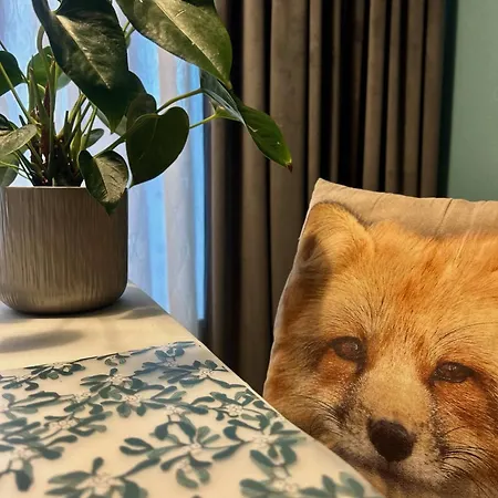 Central Studio Apartment 公寓