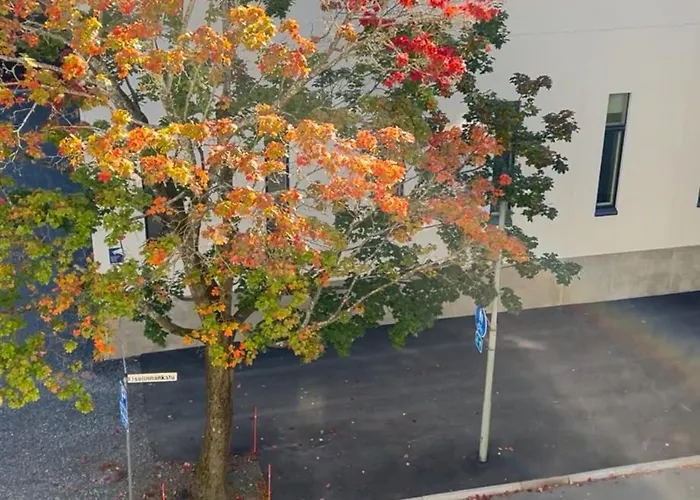 Central Studio Apartment Apartment *