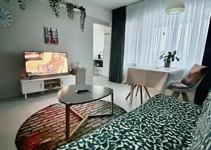 Central Studio Apartment Apartment *