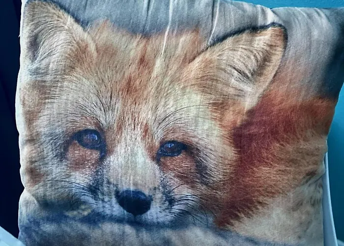 Central Studio Apartment Pori