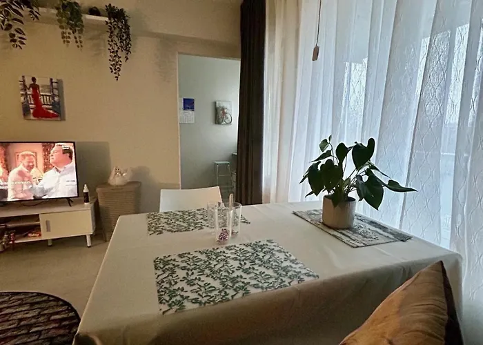 Central Studio Apartment Apartment Pori