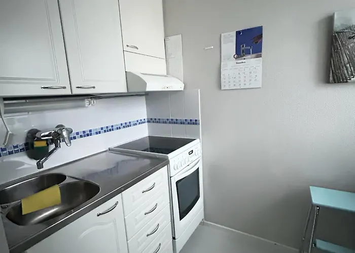 Central Studio Apartment Apartment Pori