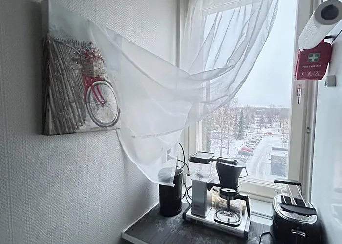 Central Studio Apartment Pori