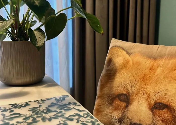 Central Studio Apartment Apartment